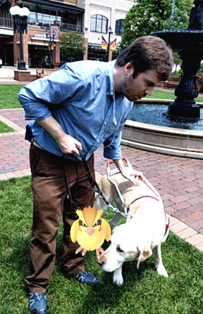 Immagine di un non vedente alla ricerca di pokemon con il suo cane guida