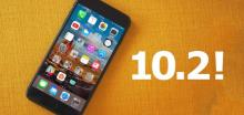 Immagine di un iPhone 